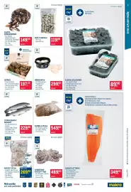 Makro leták Strana 7: Chobotnice květový tvar €489,00, Krevety PD VN €269,00