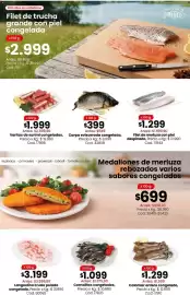 Catálogo Coto semana 39 Página 4: Cornalitos congelados €1.099,00, Filet de trucha grande con piel congelada €2.999,00