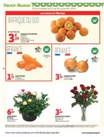 Catalogue Auchan | Saveurs d'Asie hypers page 20: OIGNONS JAUNES €3,29, CAROTTES BIO €1,69