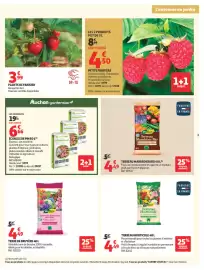 Catalogue Auchan | Jardinage automne page 3: Bioflore Terreau Horticole €4,49, Bioflore Terre de Bruyère €4,49