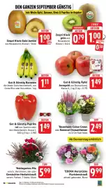 E-Center Prospekt Seite 10