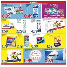 Volantino Market Ingross Pagina 18: Pannogiallo Vileda €1,79, Carta igienica Maxi €2,49