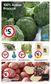 Coles catalogue week 39 Page 15