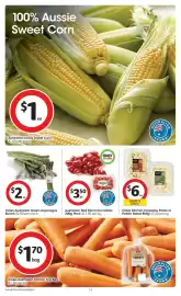 Coles catalogue week 39 Page 15