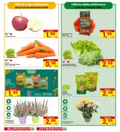 Volantino Eurospar Pagina 6: Carote Passo Dopo Passo Despar €0,99, Indivia Scarola o Riccia Passo Dopo Passo Despar €2,99