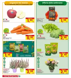 Volantino Interspar Pagina 6: Eskariole/Endiviensalat Indivia Scarola o Riccia Passo Dopo Passo Despar €2,99