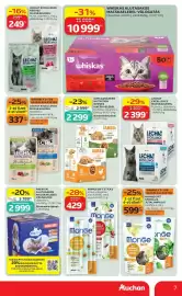 Auchan akciós újság Oldal 7: Whiskas macskaeledel-válogatás €10.999,00, Iams advanced nutrition nedves macskaeledel €2.299,00