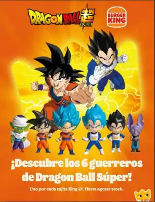 Burger King (válido hasta 7-10)
