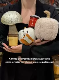 TK Maxx gazetka Strona 5