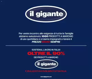 Volantino Il Gigante Pagina 2: il gigante Per venire incontro alle esigenze di tutte le famiglie abbiamo selezionato 1000