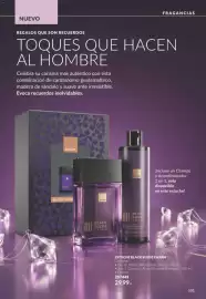 Catálogo AVON Página 101