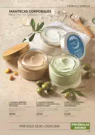 Catálogo AVON Página 153