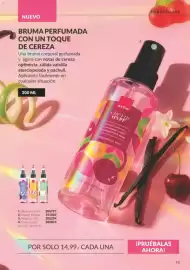 Catálogo AVON Página 93