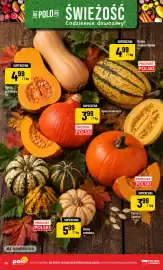 Polomarket gazetka tydzień 39 Strona 28: Dynia ozdobna €5,99, Dynia piżmowa €4,99