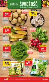 Polomarket gazetka tydzień 39 Strona 32: Ziemniaki jadalne €0,99, Sałata masłowa €3,49