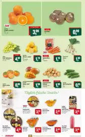 Markant Prospekt Seite 6