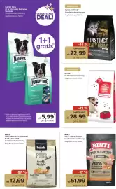 Zoo & Co Prospekt woche 40 Seite 2
