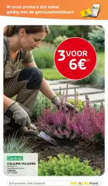 Brico folder Pagina 28: Calluna vulgaris €6,00