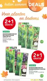 Brico folder Pagina 31: Bodemverbeteraar bio moestuin en siertuin €19,18