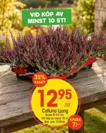 EKO reklamblad vecka 39 Sida 2: Calluna Ljung €1.295,00