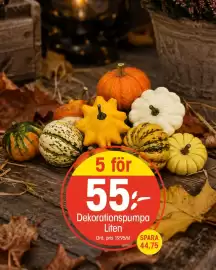 EKO reklamblad vecka 39 Sida 9: 5 för 55%- Dekorationspumpa Liten Ord. pris 19,95/st SPARA 44,75