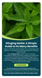 Healthy Planet flyer Page 13
