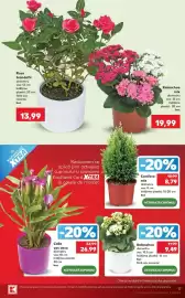 Catalog Kaufland săptămâna 39 Pagină 17