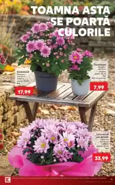Catalog Kaufland săptămâna 39 Pagină 15