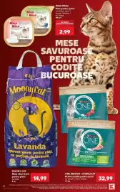 Catalog Kaufland săptămâna 39 Pagină 62