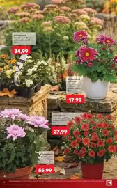 Catalog Kaufland săptămâna 39 Pagină 14