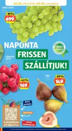 ALDI akciós újság hét 39 Oldal 24