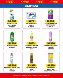 Catálogo Autoservicio Capo Página 7: Ayudín lavandina maxima pureza €899,00, Poett desodotante de amb €2.999,00