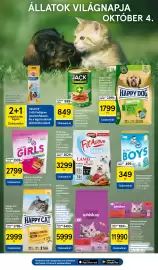 Tesco akciós újság hét 39 Oldal 21: Petsup konzerv €349,00, Panzi fit active €3.299,00