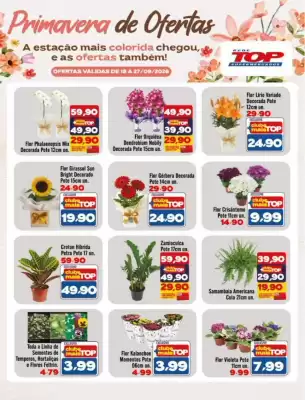 Encarte Rede Top (válido até 27-09)