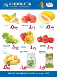 Volantino MD Discount Pagina 8