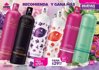 Catálogo Fuller Página 6