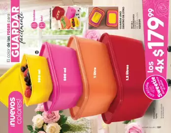 Catálogo Fuller Página 100