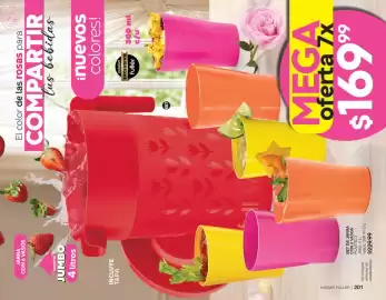 Catálogo Fuller Página 102