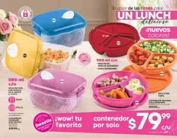 Catálogo Fuller Página 105