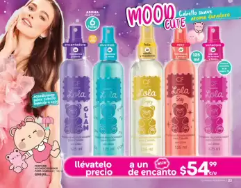 Catálogo Fuller Página 13