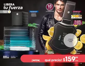 Catálogo Fuller Página 18