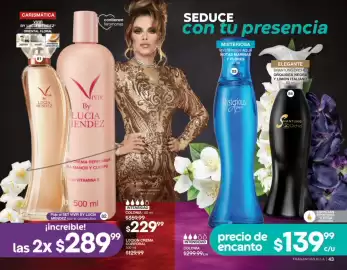 Catálogo Fuller Página 23