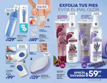 Catálogo Fuller Página 45