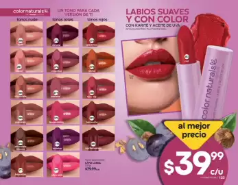 Catálogo Fuller Página 63