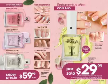 Catálogo Fuller Página 66