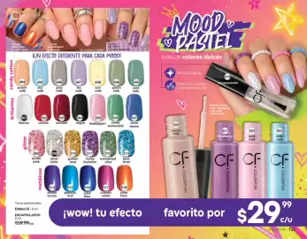Catálogo Fuller Página 70