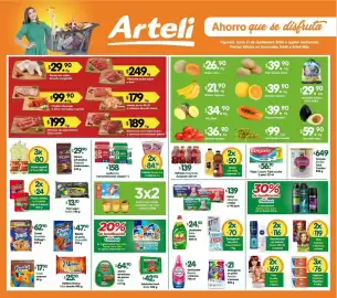Folleto Arteli Página 3