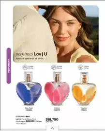 Catálogo Avon Página 53