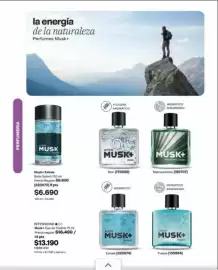 Catálogo Avon Página 70