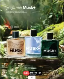 Catálogo Avon Página 71